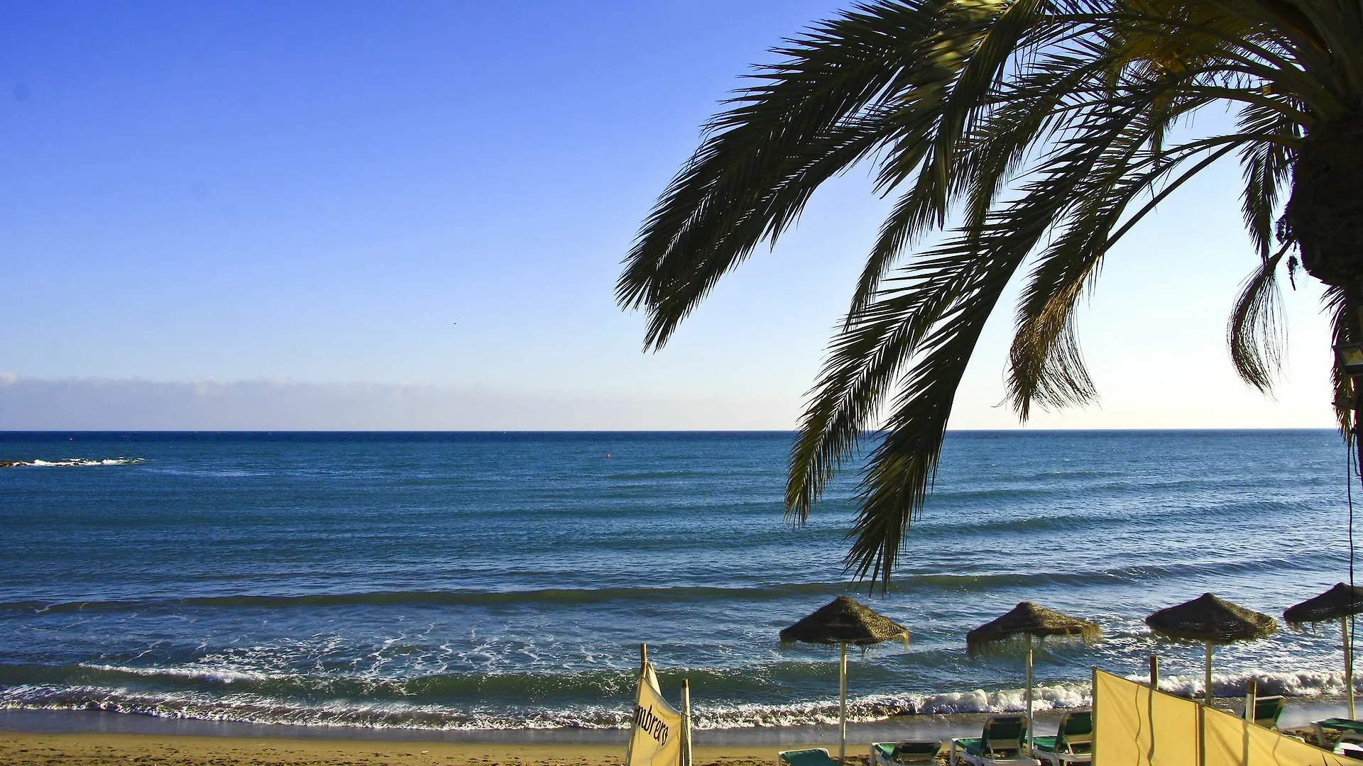 Chambao Suite Marbella Apartment